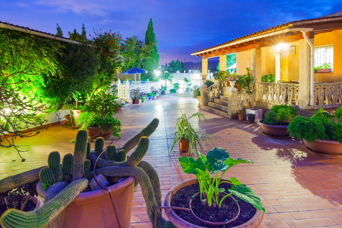 Garden zone in a rental house in Ibiza